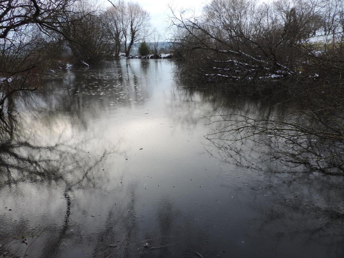 Le Clos Fleuri Ségrie Esterno foto